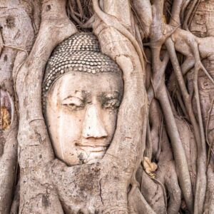 Ayutthaya City and Biggest Sitting Buddha in Thailand