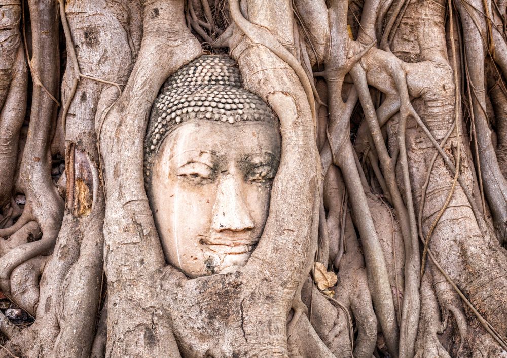 Ayutthaya City and Biggest Sitting Buddha in Thailand
