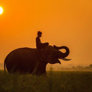 KhaoYai National Park