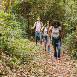 One Full Day Inthanon National Park + Hiking at MaeklangLuang or Kew MaePan