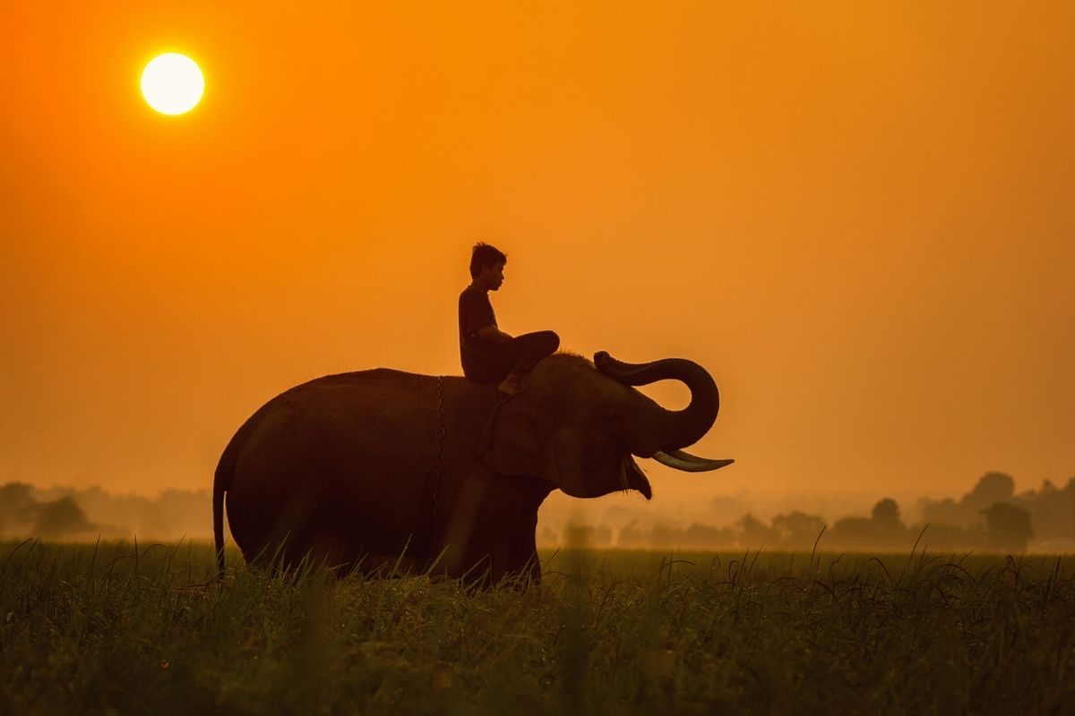 Chiang Mai Popular Tour