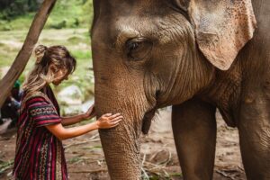 One Full Day Elephant Care and Inthanon National Park