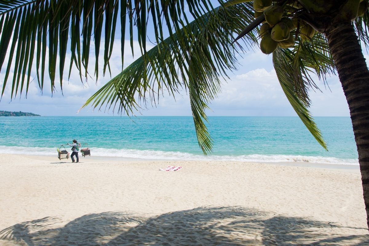 Tropical beach with white sand and palm trees on Koh Phangan, Thailand