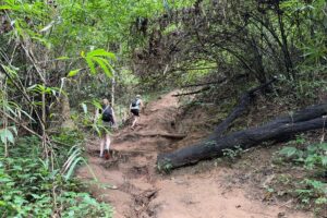 Jungle Trek & Whitewater Rafting Adventure